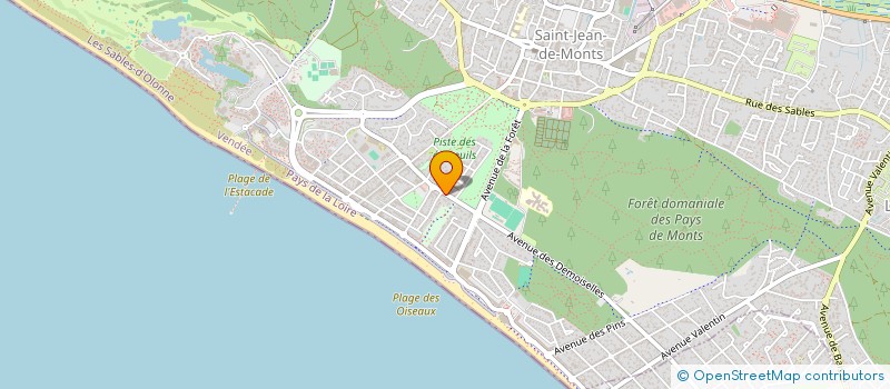 localisation de l'entreprise DES DEMOISELLES  SAINT-JEAN-DE-MONTS