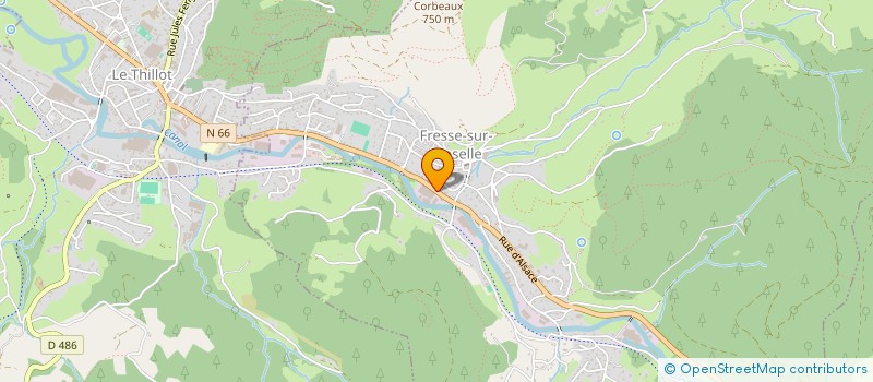 localisation de l'entreprise DES FLEURS !  FRESSE-SUR-MOSELLE