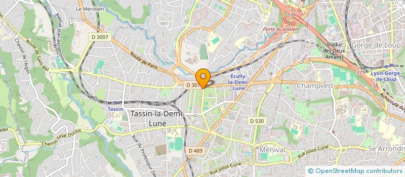 localisation de l'entreprise DES FLEURS EN PLUS à TASSIN-LA-DEMI-LUNE
