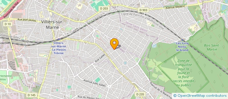 localisation de l'entreprise DES FRIPIERS  LE PLESSIS-TREVISE