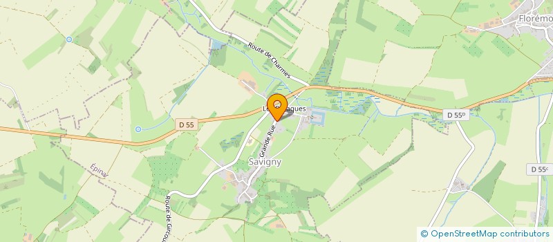 localisation de l'entreprise DES GRANDS MEIX  SAVIGNY