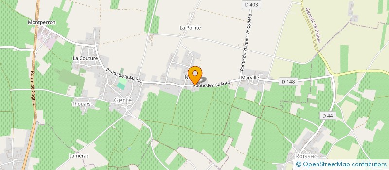 localisation de l'entreprise DES GUERINS  GENTE