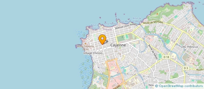 localisation de l'entreprise DES LIBANAIS DE GUYANE  CAYENNE