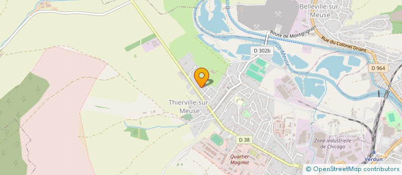 localisation de l'entreprise DES LIONS à THIERVILLE-SUR-MEUSE