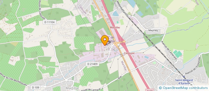 localisation de l'entreprise DES MARGUERITES  MARTILLAC