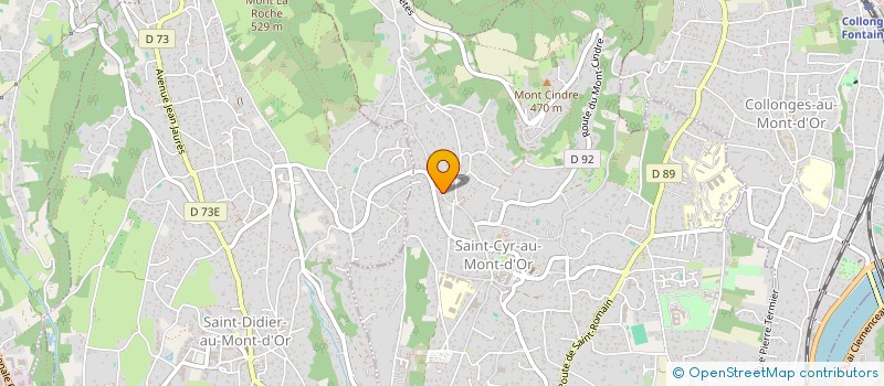 localisation de l'entreprise DES MONTS D'OR LA CROIX DES RAMEAUX  SAINT-CYR-AU-MONT-D'OR