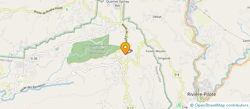 localisation de l'entreprise DES MOTS SUR LES MAUX  SAINTE-LUCE