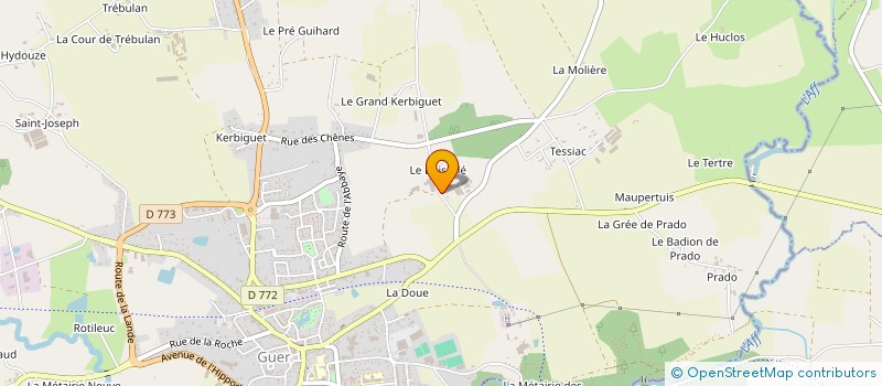 localisation de l'entreprise DES OEILLETS  GUER