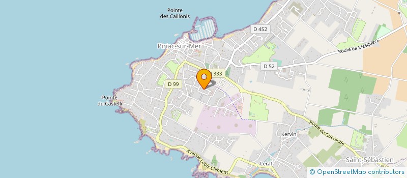 localisation de l'entreprise DES RACINES  PIRIAC-SUR-MER