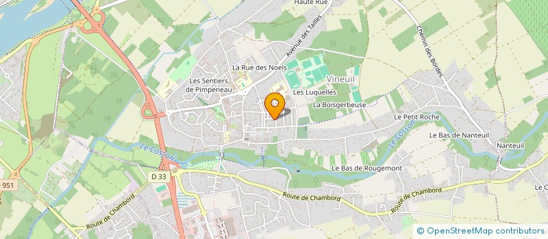 localisation de l'entreprise DES REVES POUR XAVIER, LA VIE D'UN ENFANT AUTISTE à VINEUIL