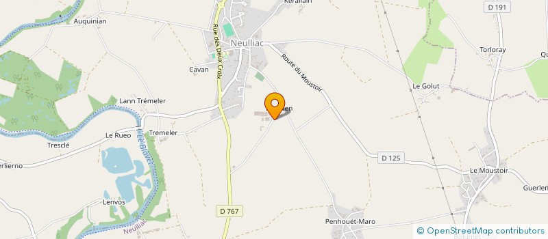 localisation de l'entreprise DES ROSES  NEULLIAC