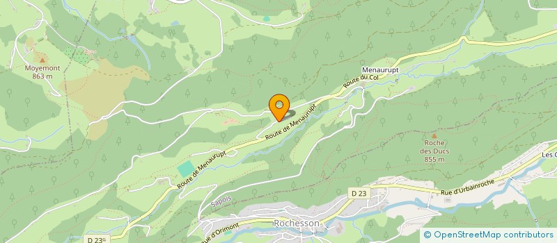 localisation de l'entreprise DES SAPINS  SAPOIS