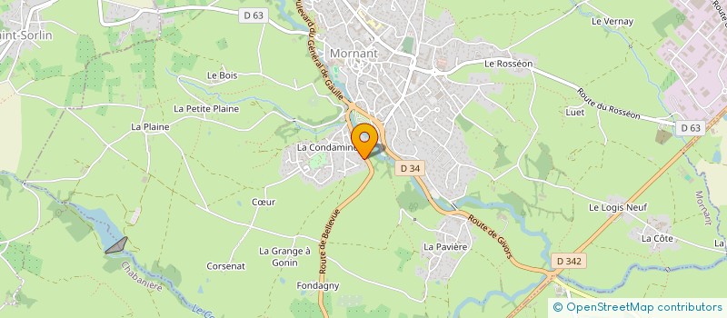 localisation de l'entreprise DES SAVEURS à MORNANT