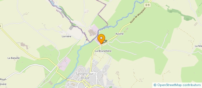 localisation de l'entreprise DES VRAIS à SAVIGNY SUR BRAYE