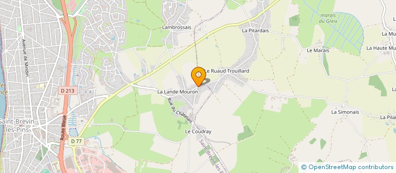 localisation de l'entreprise DESEO DE BAILAR - LA SALSA - à SAINT-BREVIN-LES-PINS