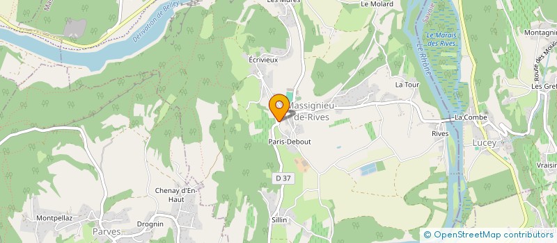 localisation de l'entreprise DESIRE TRANSPORT SERVICE à MASSIGNIEU-DE-RIVES