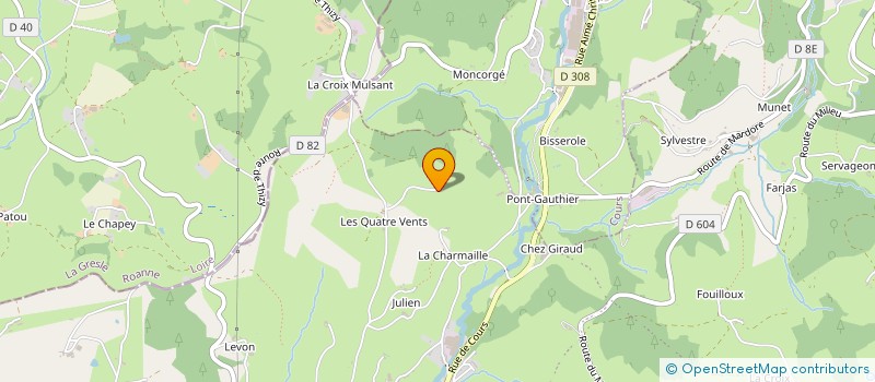 localisation de l'entreprise DESSIMMO  THIZY-LES-BOURGS