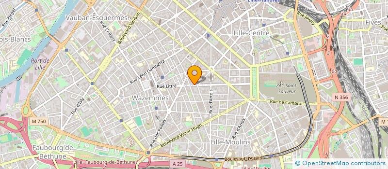 localisation de l'entreprise DESSIMOI-MOI UNE HISTOIRE à LILLE