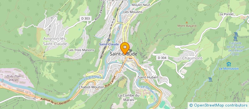 localisation de l'entreprise DESSIN SERVICE METRE à SAINT-CLAUDE