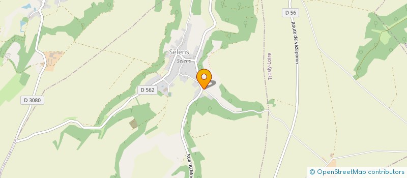 localisation de l'entreprise DETECT FUITES  SELENS