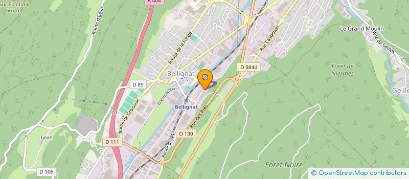 localisation de l'entreprise DETOUILLON SAS à BELLIGNAT