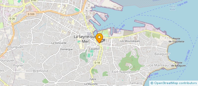 localisation de l'entreprise DEV IMMO ET CONSEIL à LA SEYNE-SUR-MER