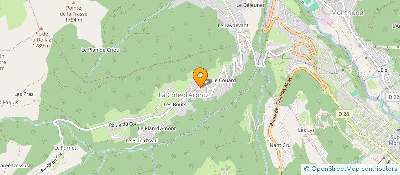 localisation de l'entreprise DEVALP CONSULTING à LA COTE-D'ARBROZ