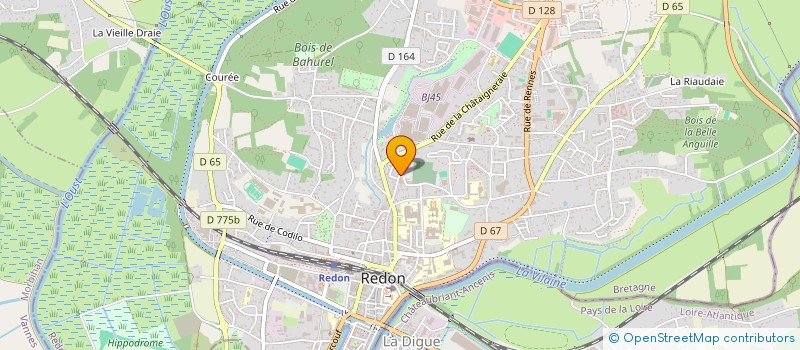 localisation de l'entreprise DEVEL EMPLOI JEUNES ECONOMIE LOCALE à REDON