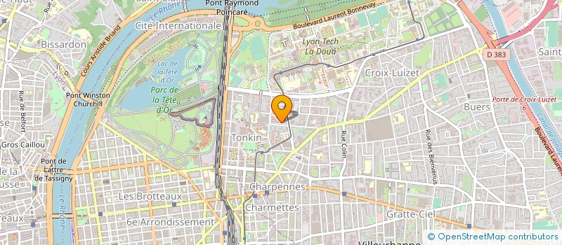 localisation de l'entreprise DEVELOP INFORMAT APPLIQ GESTION SCIENTIF à VILLEURBANNE