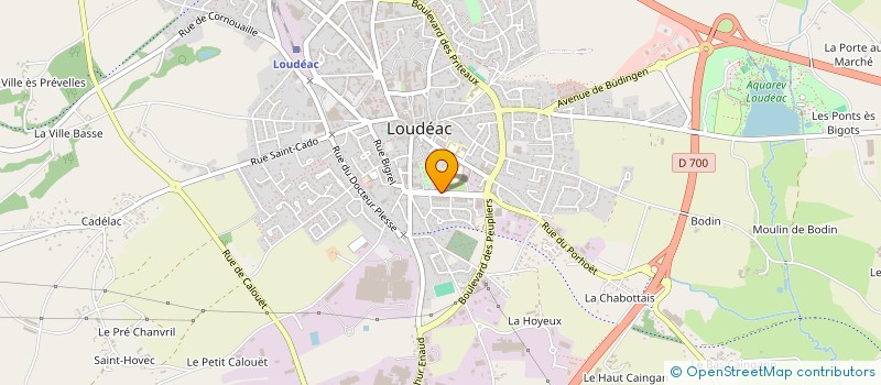 localisation de l'entreprise DEVELOPPEMENT ASSISTANCE REPROGRAPHIE .. à LOUDEAC