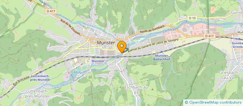 localisation de l'entreprise DEVELOPPEMENT CONSULTING ELASTOMER à MUNSTER