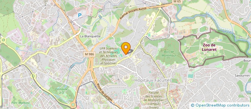 localisation de l'entreprise DEVELOPPEMENT DU BEACH VOLLEY à MONTPELLIER