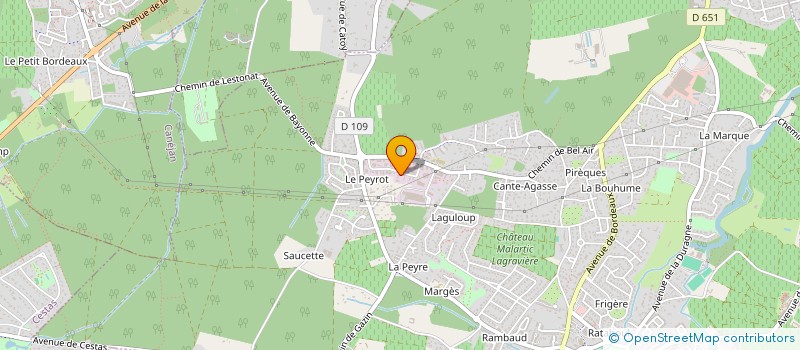 localisation de l'entreprise DEVELOPPEMENT ECHANGES INTERNATIONAUX à LEOGNAN
