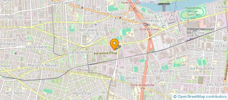 localisation de l'entreprise DEVELOPPER AUTREMENT LE CONGO  VILLEURBANNE