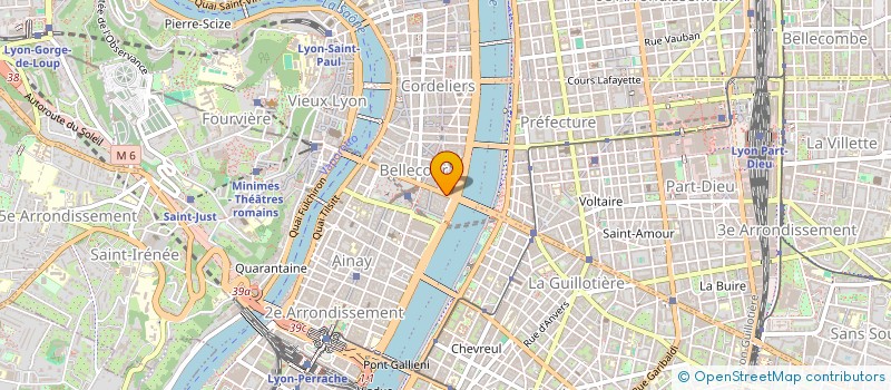 localisation de l'entreprise DEVELOPPER L INSERTION PROFES.ETUDIANTS à LYON