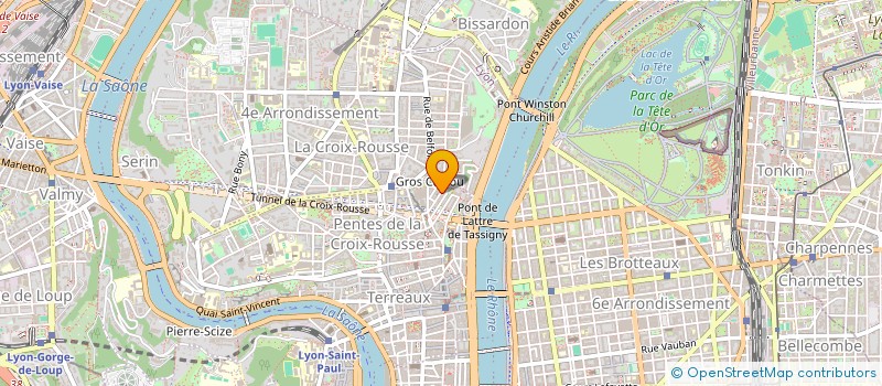 localisation de l'entreprise DEWO - CONSEIL ET PARTICIPATIONS à LYON