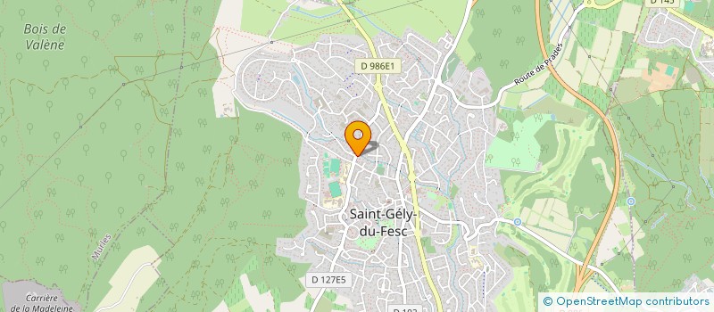 localisation de l'entreprise DEXAS  SAINT-GELY-DU-FESC