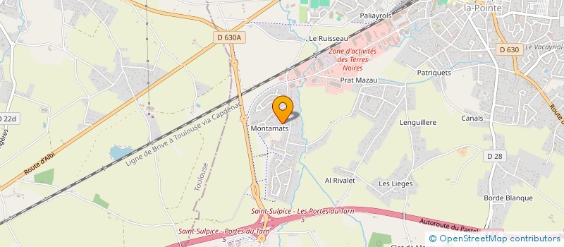 localisation de l'entreprise DF HOLDING  SAINT-SULPICE-LA-POINTE