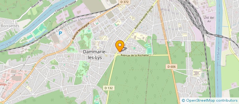 localisation de l'entreprise DF MULTI SERVICES à DAMMARIE-LES-LYS