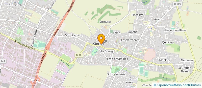 localisation de l'entreprise DF RAMONAGE SARL  GENAS