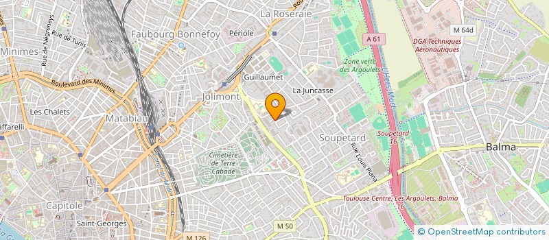 localisation de l'entreprise DFLG PRODUCTION  TOULOUSE