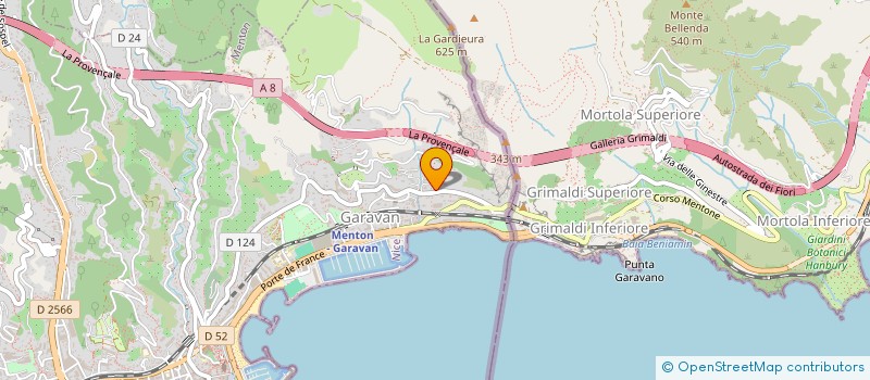 localisation de l'entreprise DFO  MENTON