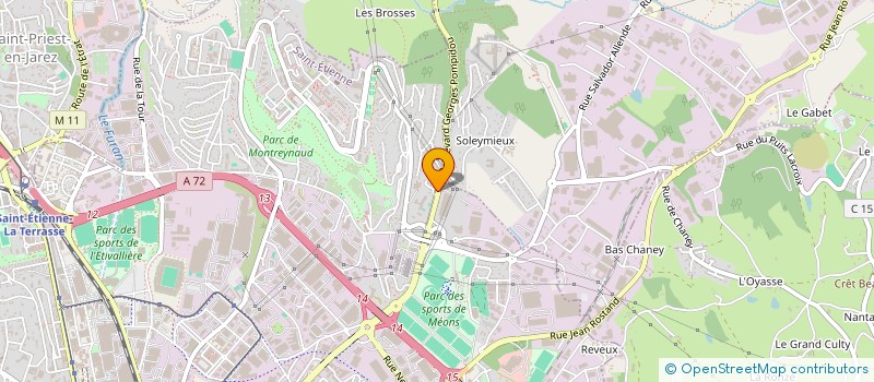 localisation de l'entreprise DG RESEAU  SAINT-ETIENNE