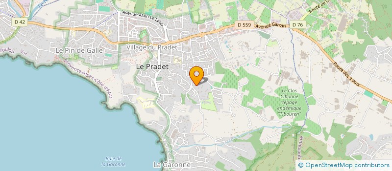 localisation de l'entreprise DG SERVICES à LE PRADET