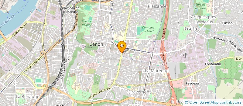 localisation de l'entreprise DI MAMA PIZZA  CENON