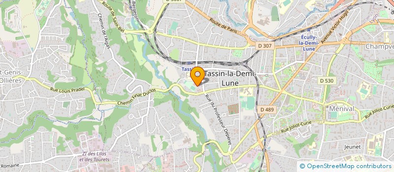 localisation de l'entreprise DIACONSEILS à TASSIN-LA-DEMI-LUNE