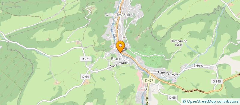 localisation de l'entreprise DIAGNOSTIC 39 à SALINS-LES-BAINS