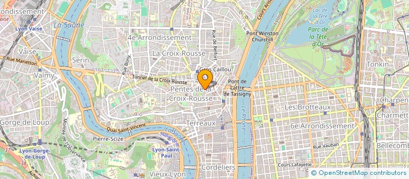 localisation de l'entreprise DIAGRAPH à LYON