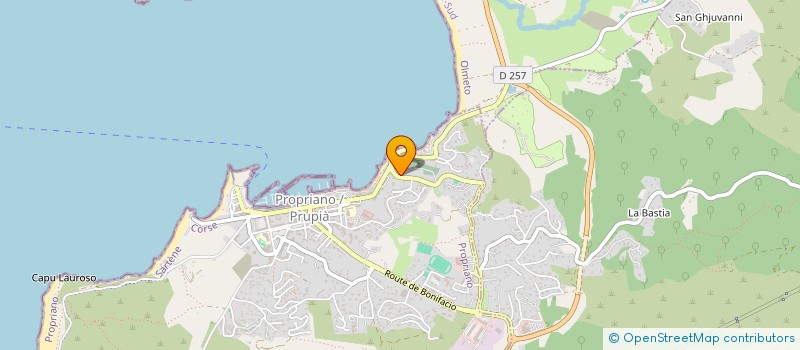 localisation de l'entreprise DIAMANT SERVICES à PROPRIANO