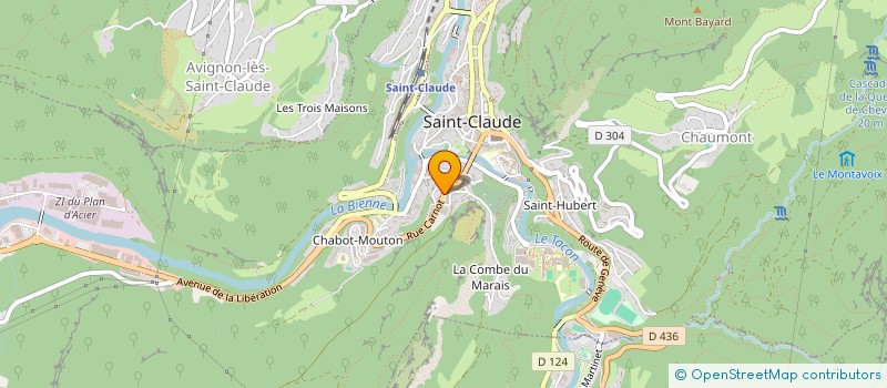 localisation de l'entreprise DIAMANTS DE JOAILLERIE HENRI FAVRE & CIE à SAINT-CLAUDE